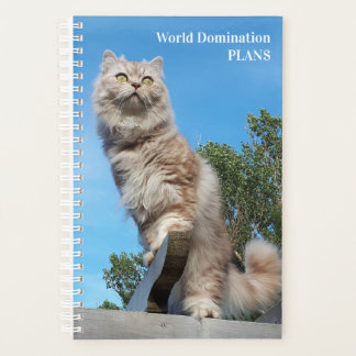 Planificador de dominación mundial de gatos de pel