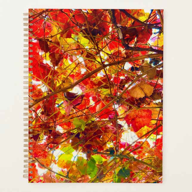 Planificador de espiral de otoño (Anverso)