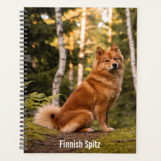 Planificador de Finnish Spitz
