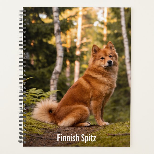 Planificador de Finnish Spitz (Anverso)