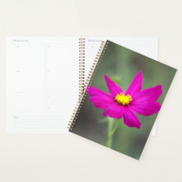 Planificador de Flor Rosa