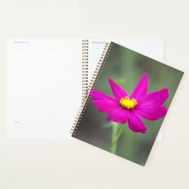 Planificador de Flor Rosa (Demostración)