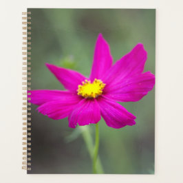 Planificador de Flor Rosa