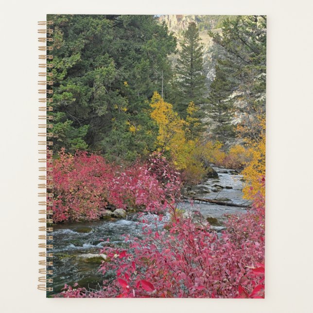 Planificador de floraciones de arroyos (Anverso)