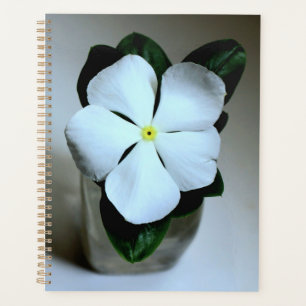 Planificador de flores blancas