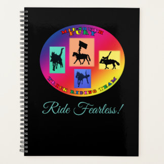 Planificador de furia de medio sur