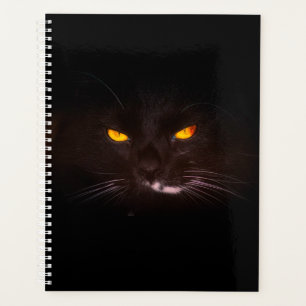 Planificador de gato negro