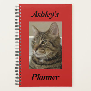 Planificador de gato tabby personalizado
