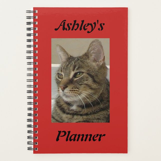 Planificador de gato tabby personalizado (Anverso)