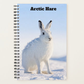 Planificador de la liebre ártica