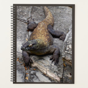 Planificador de la Naturaleza del Dragón de Komodo