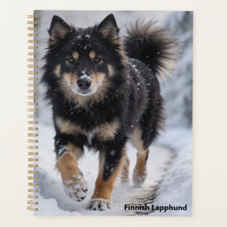 Planificador de Lapón Finlandés