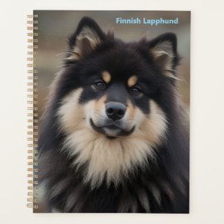 Planificador de Lapón Finlandés