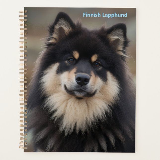 Planificador de Lapón Finlandés (Anverso)
