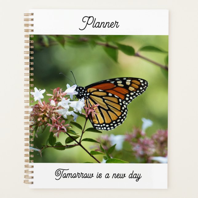 Planificador de Mariposa Monarca (Anverso)