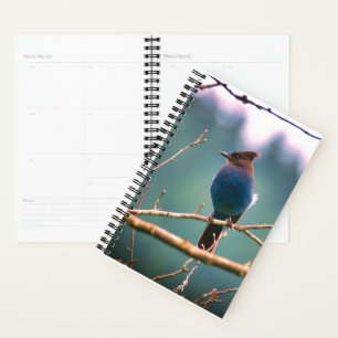 Planificador de observadores de aves