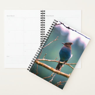 Planificador de observadores de aves