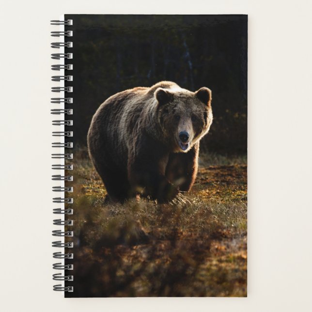 Planificador de oso (Anverso)