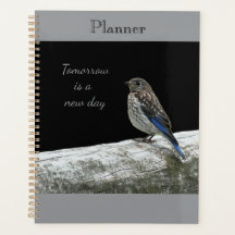 Planificador de pajarito bebé