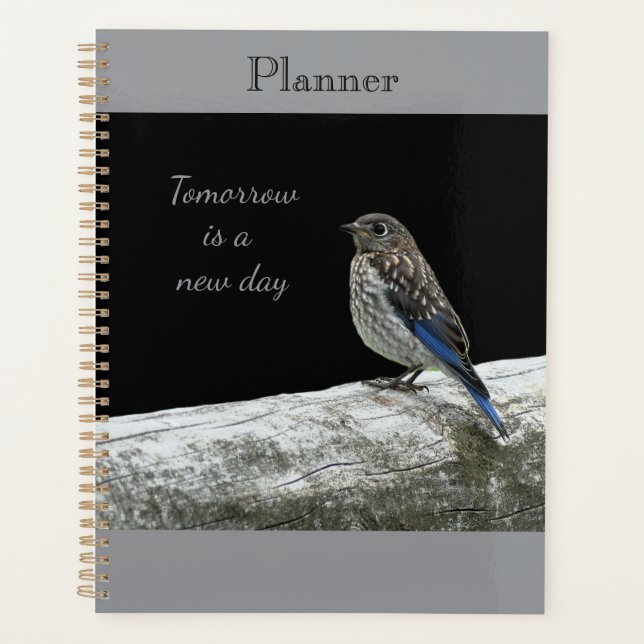 Planificador de pajarito bebé (Anverso)