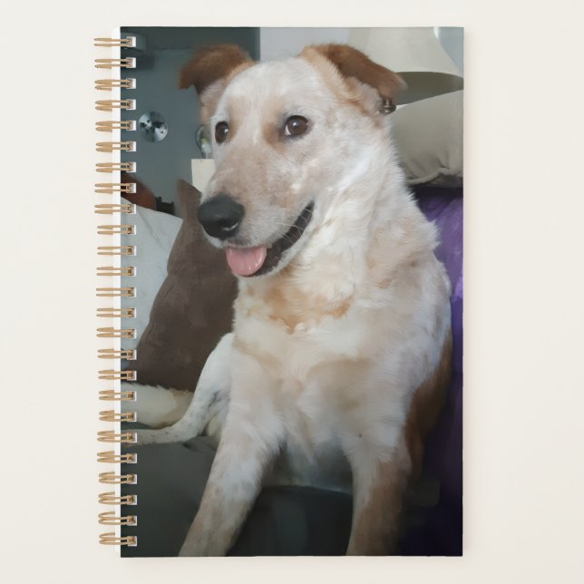 Planificador de Perro Boyero Australiano / Red Hee (Anverso)