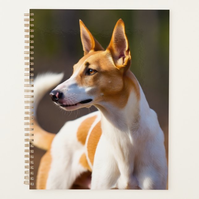 Planificador de Podenco Ibicenco (Anverso)