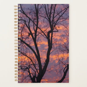 Planificador de puesta de sol de invierno