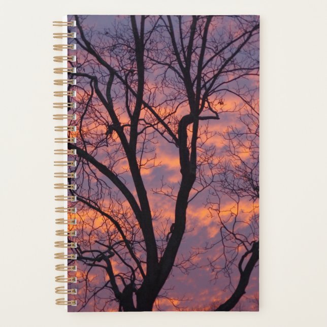 Planificador de puesta de sol de invierno (Anverso)