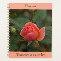 Planificador de Rosa Coral