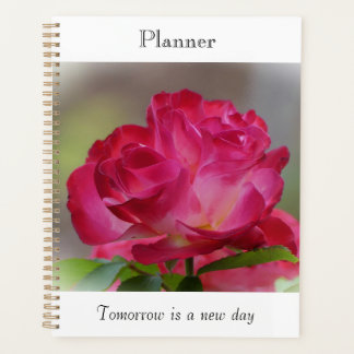 Planificador de Rosa de Belleza