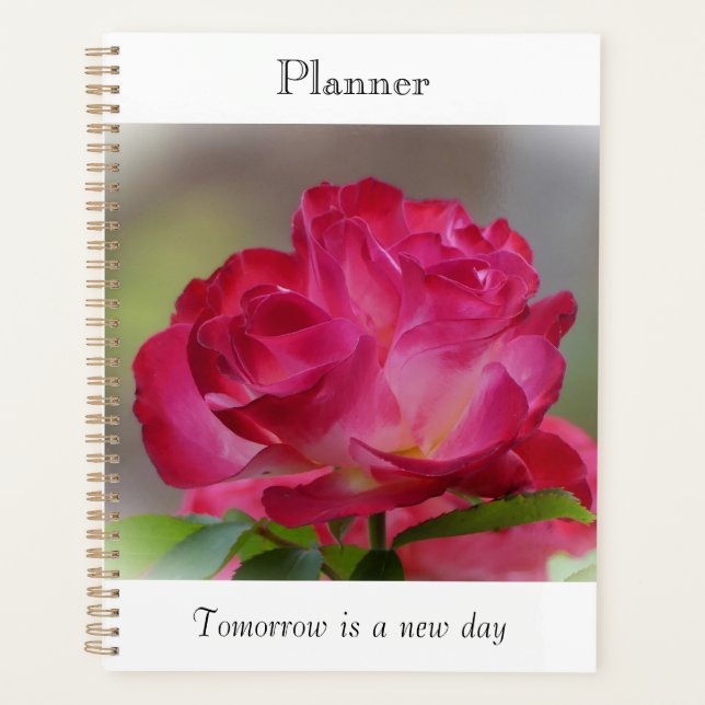 Planificador de Rosa de Belleza (Anverso)