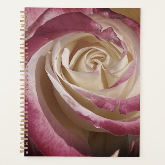 Planificador de Rosa de sombra (Anverso)