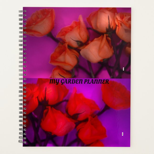 PLANIFICADOR DE ROSAS (Anverso)