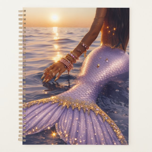 planificador de sirena (Anverso)