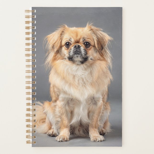 Planificador de Spaniel Tibetano (Anverso)