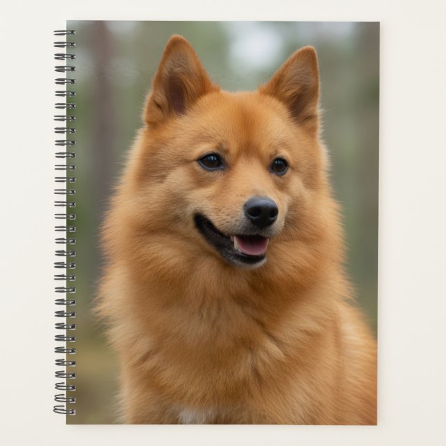 Planificador de Spitz Finlandés (Anverso)