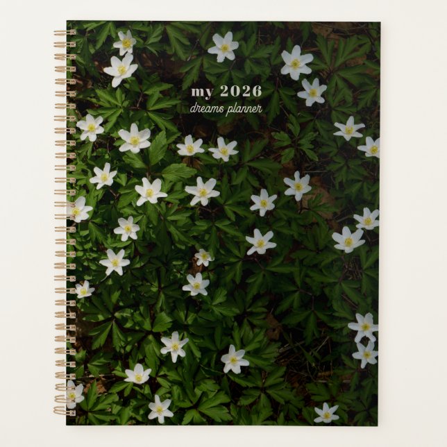 Planificador de sueños de bosque verde (Anverso)