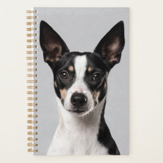 Planificador de Toy Fox Terrier