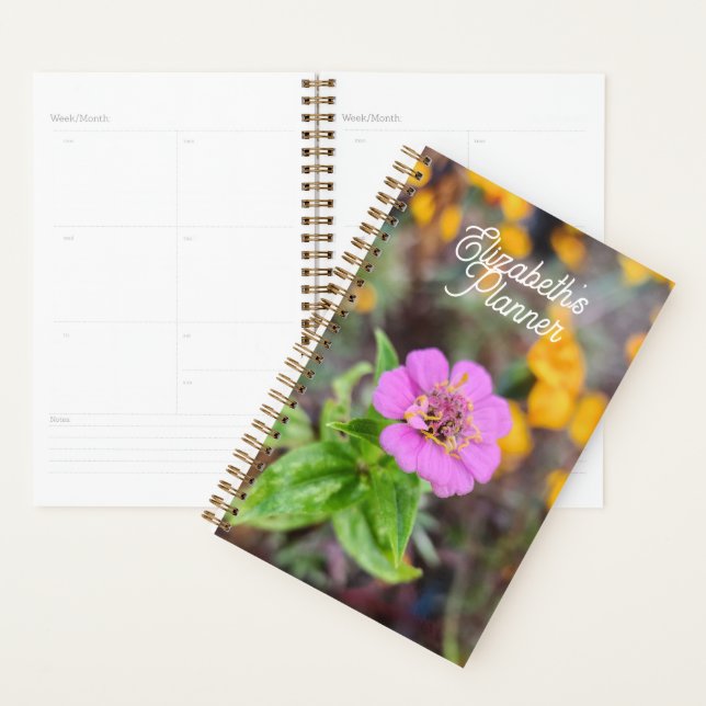 Planificador de Zinnia - Fotografía Original (Demostración)