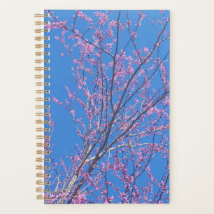 Planificador del calendario de Bonsai