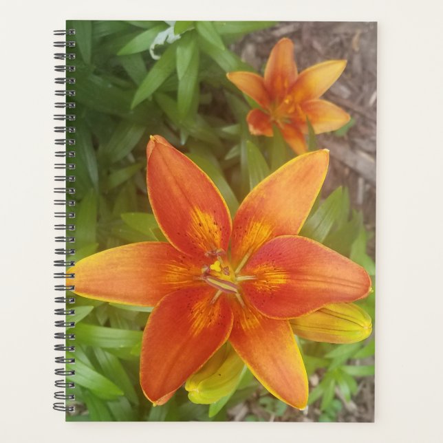 Planificador diario (Anverso)