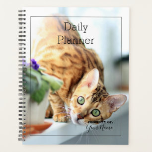 Planificador diario - Cat - HAMbWG