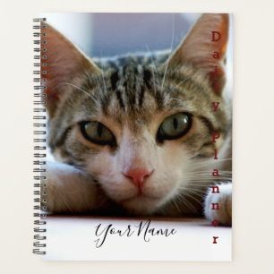 Planificador Diario Close-up de Gatito - HAMbWG