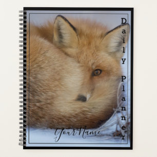 Planificador diario de Fox - HAMbWG