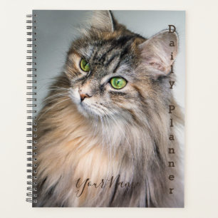 Planificador diario de gato himalayo - HAMbWG