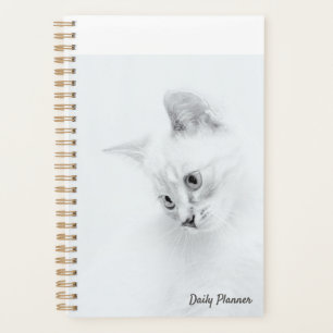 Planificador diario del gato