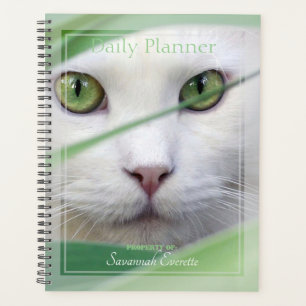 Planificador Diario Foto Gato Blanco Ojos Verdes H