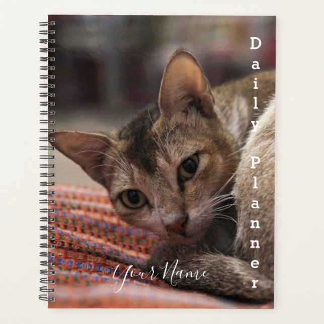 Planificador Diario Gato Exótico- HAMbWG (Anverso)
