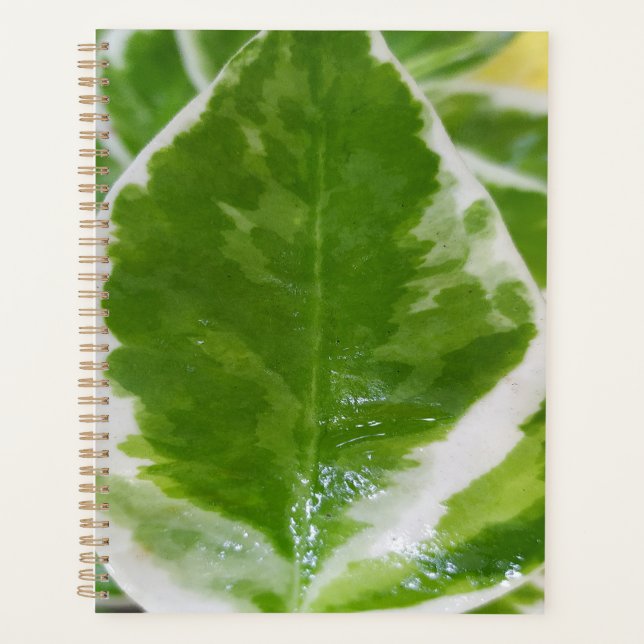 Planificador duro estándar personalizado (8,5" x 1 (Anverso)