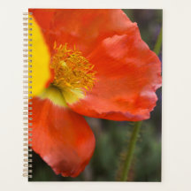 Planificador floral de amapola naranja vibrante – 